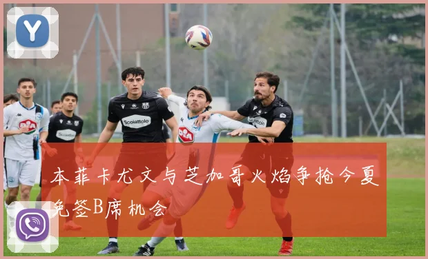 本菲卡尤文与芝加哥火焰争抢今夏免签B席机会